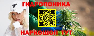 соль ск Лесосибирск