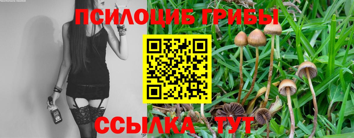 МЕФ кристаллы  Истра  Вход с VPN  Мефедрон  Кокаин  ГАШ  Лсд 25  Каннабис  ЭКСТАЗИ  A PVP СК  