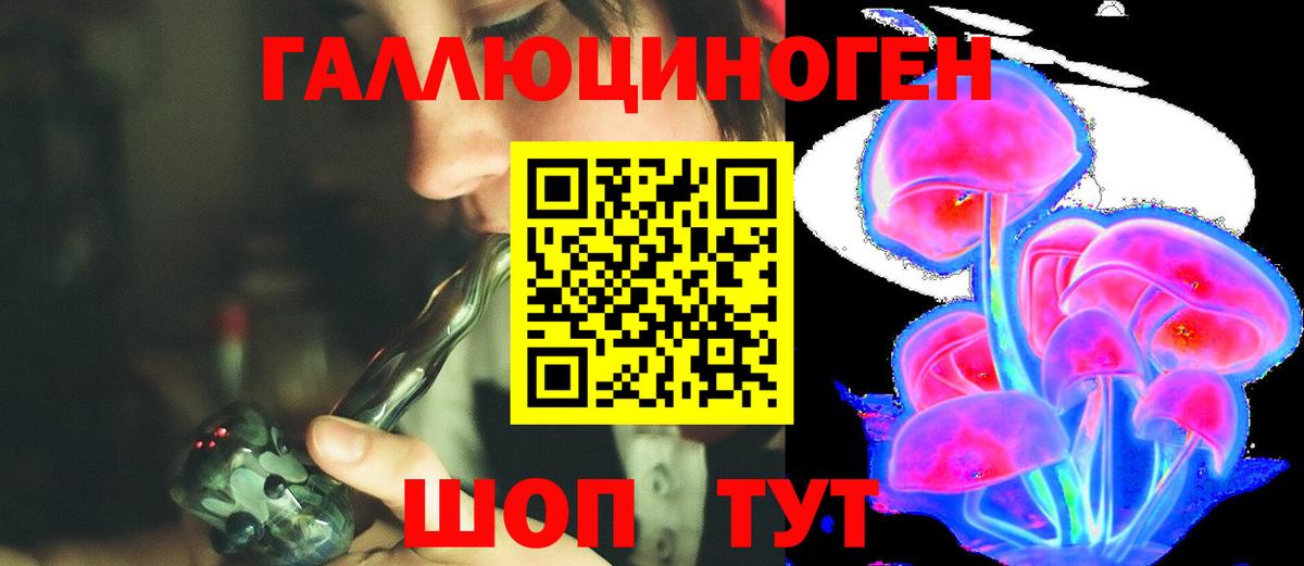 Галлюциногенные грибы Cubensis Истра